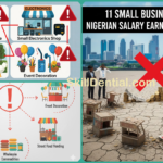 11 Small Business Ideas Nigerian Salary Earners Must Avoid